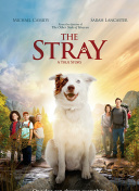 乘风破浪，乱世王者中的联盟玩法深度解析